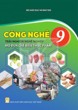 Công nghệ 9 - Mô đun Chế biến thực phẩm - Kết nối sgk