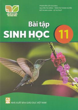 Bài tập Sinh học 11 - Kết nối sgk