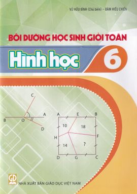 Bồi dưỡng học sinh giỏi Toán - Hình học 6
