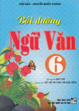 Bồi dưỡng Ngữ Văn 6-KN HA1 