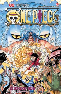 One Piece - Tập 65 (Bìa rời)